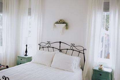 3 Pack Thick Colombian Spanish Moss Live Strands with Wire Hook - Tillandsia Usneiodes - Live Tillandsia Succulent House Plants - Home and Garden Decor - Easy Care Indoor and Outdoor Plants