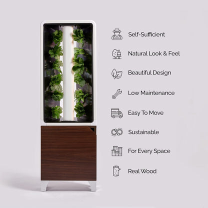 Just Vertical EVE Indoor Hydroponic Garden | Modern Furniture-Style Vertical Planter | Grow 12 Fresh Herbs & Vegetables Year-Round | Self-Watering, Energy-Efficient LED, Compact Design