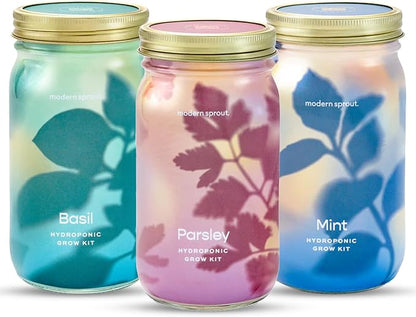 Modern Sprout Garden Jar Gift Pack - Self-Watering Hydroponics Growing System Kit with Organic Herb Seeds - Seed Starter Kit for Indoor Herb Garden - Home Decor & Gifting - Basil, Parsley & Mint