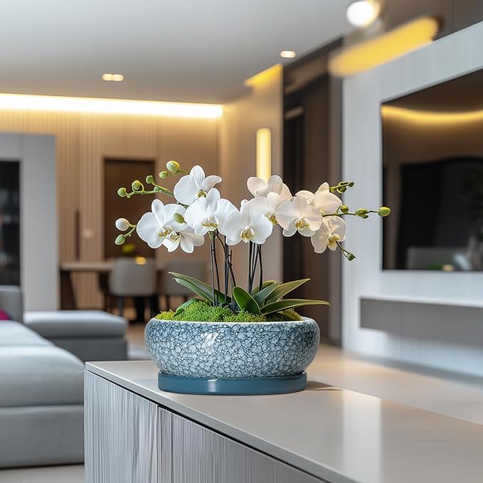 Bonsai Pots 10 Inch - Ceramic Succulent Planters with Drainage Hole and Saucer, Succulent Pots for Indoor Outdoor, Shallow Flower Pot, Round Planter, Patio Decor, Housewarming Gifts, Blue