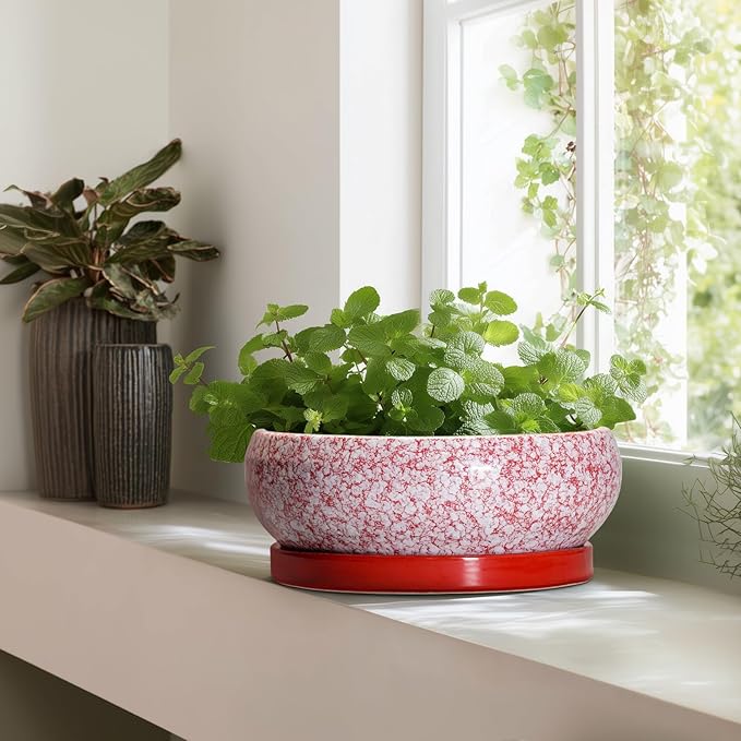 Bonsai Tree Pots 13 Inch - Ceramic Bonsai Pots with Drainage Hole and Tray, Large Succulent Planters Indoor, Round Bowl Planter Outdoor, Shallow Planter, Garden Decor, Plant Lover Gifts, Red