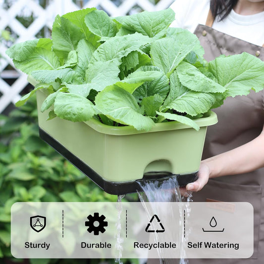 Window Box Planter 6 Pcs, 17 Inches Rectangle Flower Pots with Drainage Holes and Trays, Vegetable Planters for Windowsill Patio Garden Balcony Home Indoor Outdoor (Light Green, 18*10*6 inch)