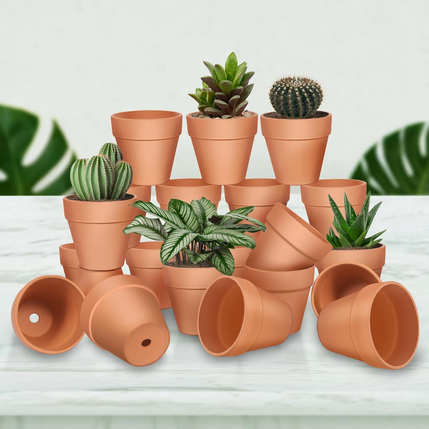3 inch Terracotta Clay Pots, 26 Pack Clay Flower Pots with Drainage, Flower Garden, Terracotta Pots for Indoor Outdoor Plant, Crafts, Wedding Favor