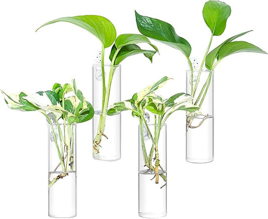 Propagation Station, Plants Terrarium, Plants Lover Gifts for Women,Plant Cutting Holder Home décor,Gifts for Women,House Warming New Home-4 Cylinder Shape