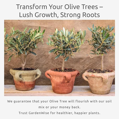 Organic Olive Tree Potting Mix – Fast-Draining, Nutrient-Rich Soil for Indoor & Outdoor Olive Trees – Mediterranean Plant Care – Long-Lasting Formula (4 QUARTS)