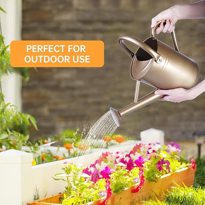 Metal Watering Can for Outdoor Plants, Galvanized Steel Watering Can with Removable spout, 1 Gallon,Perfect Home & Garden Decor Gold