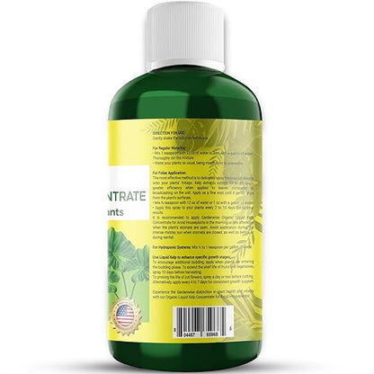 Organic Premium Seaweed Fertilizer - Liquid Kelp Plant Food for Aroid Houseplants: Monstera, Philodendron, Pothos, ZZ Plant, Dieffenbachia, Alocasia, Caladium (16 OZ)