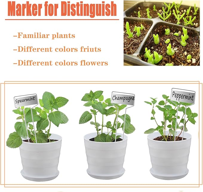 30pcs Plant Labels Plant Markers for Outdoor Plants 6inch Plant Labels for Seedlings Outdoor Garden Waterproof Plant Tags and Labels for Flower Vegetable Herbs Greenhouse (6 in, Silver)