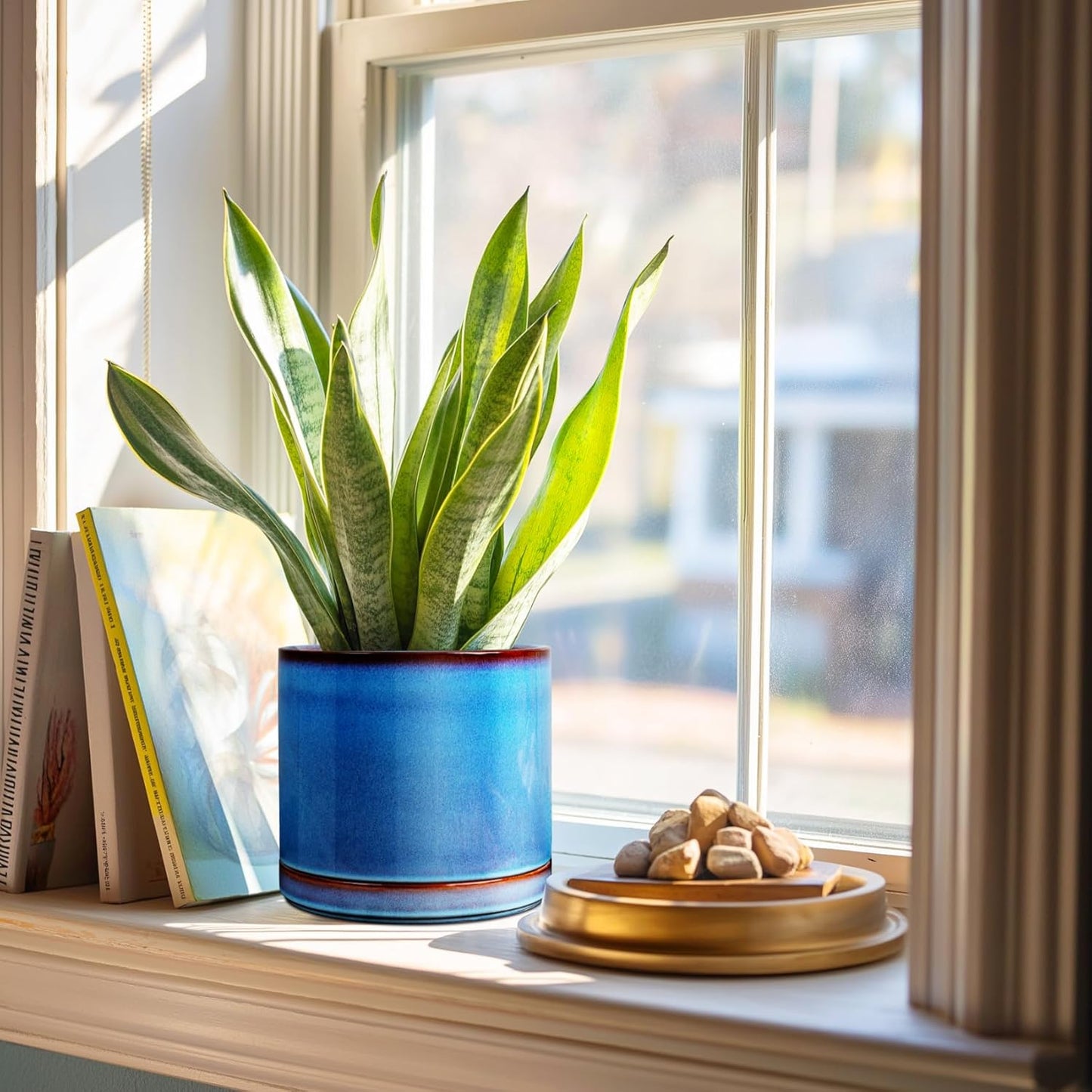 EFISPSS Ceramic Planter 8 Inch, Ceramic Plant Pots with Drainage Hole and Saucer, Indoor Modern Flower Pot for Home and Office Flower Pot - Blue