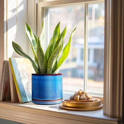 EFISPSS Ceramic Planter 8 Inch, Ceramic Plant Pots with Drainage Hole and Saucer, Indoor Modern Flower Pot for Home and Office Flower Pot - Blue