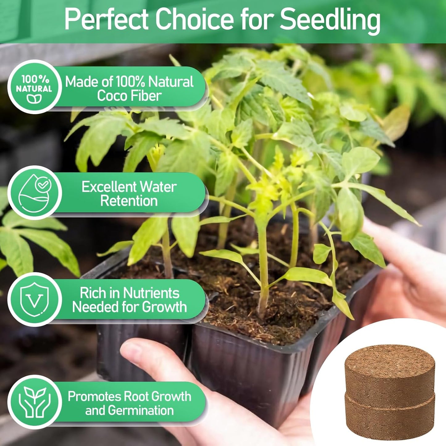 Legigo 50 Pcs 50mm Organic Coco Coir Pellets for Plants- Compressed Coconut Coir Potting Soil, Coco Fiber Pellets Coco Coir Soil for Planting, Garden, Bonsai, Herbs, Flower & Vegetables