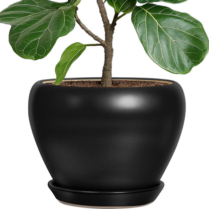 Deep Dream 10 Inch Plant Pot- Ceramic Planter Pot Round Plant Pots for Indoor Plants Outdoor Large Flower Pot with Drainage Holes & Trays, Black