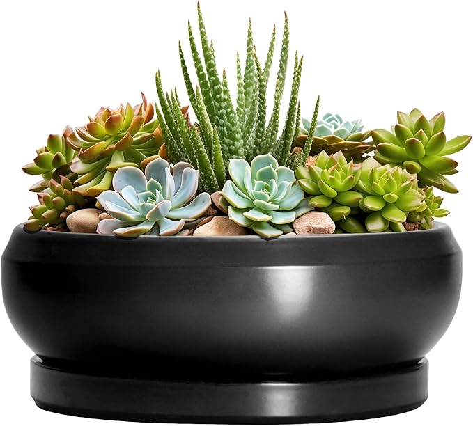Succulent Planters 8 Inch - Ceramic Bonsai Pots for Indoor Outdoor, Round Succulent Pots with Drainage Hole and Saucer, Modern Shallow Planter Bowl, Garden Home Decor, Birthday Gifts, Black