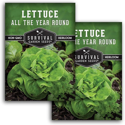 All The Year Round Lettuce Seed for Planting - 2 Packets with Instructions to Plant & Grow Adaptable Salad Greens in Your Home Vegetable Garden - Non-GMO Heirloom Variety - Survival Garden Seeds