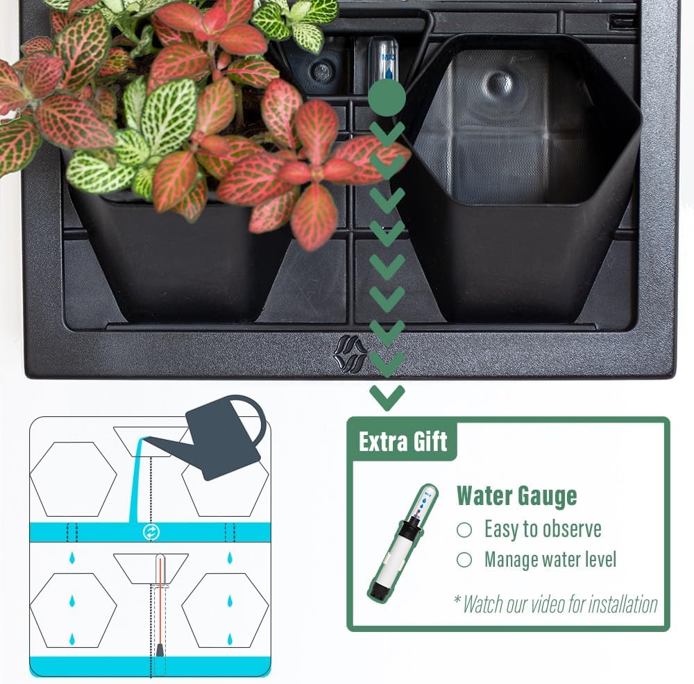Self Watering Wall Planter with 4 Pots - Easy to Create Indoor Living Wall for Home, Office and Shop Front - Includes Water Gauge (Black)