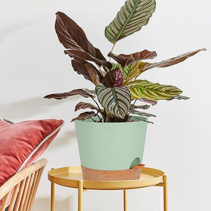 12inch Large Self Watering Plant Pot, Plastic Cylinder Planter with 60Oz Deep Reservoir and Saucer for Indoor Outdoor Plants Flowers Houseplants, Green with Brown