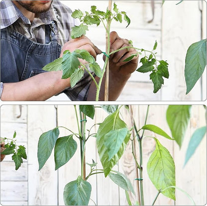 YDSL 100 Feet Soft Tie for Plants, Green Twist Garden Ties Gardening Supplies for Supporting Climbing Plants, Tomatoes, Vegetables, (Diameter - 2.5MM)