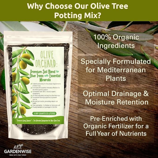 Organic Olive Tree Potting Mix – Fast-Draining, Nutrient-Rich Soil for Indoor & Outdoor Olive Trees – Mediterranean Plant Care – Long-Lasting Formula (2 QUARTS)