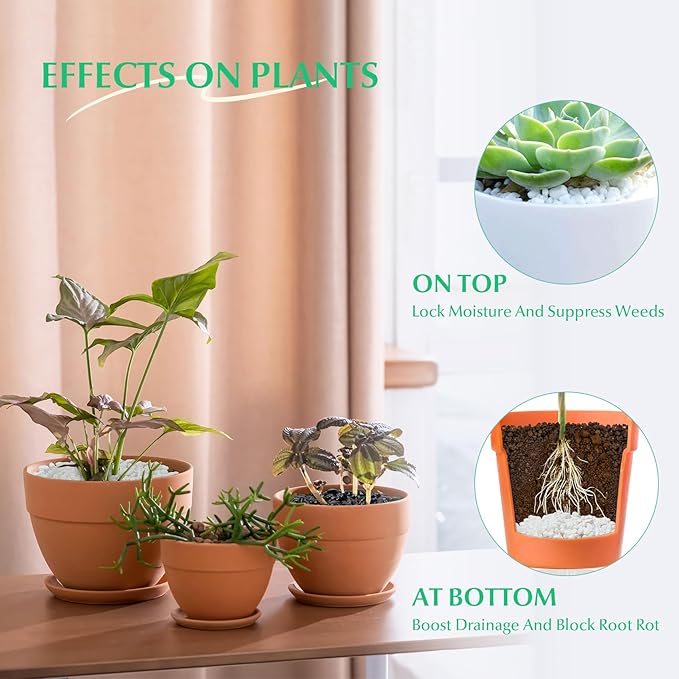 Mr. Fireglass 10 lbs White Pebbles,1/5" Natural Decorative River Rocks Aquarium Gravel for Indoor Plants, Vases, Succulents and Outdoor Garden Landscaping