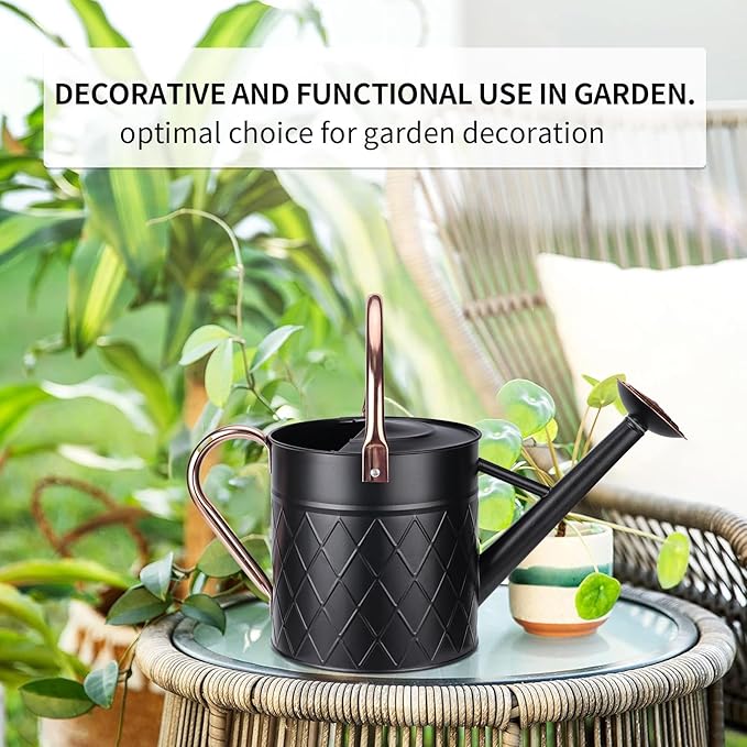 1.75 Gallon Outdoor Metal Watering Can for Garden Plants, Vintage Zinc Watering Can with Removable Spray Spout, Ideal for Outdoor Use (Black)