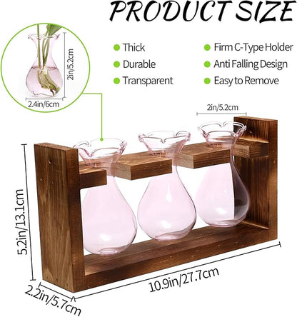 Plant Propagation Station Plant Terrarium Unique Birthday Gifts for Women Home Office Decor Planter with Wooden Stand - 3 Bulb Glass Vase