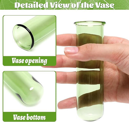 Glass Plant Propagation Station with 5 Test Tubes Colorful Planter Vase Birthday Gifts for Women in Wooden Stand