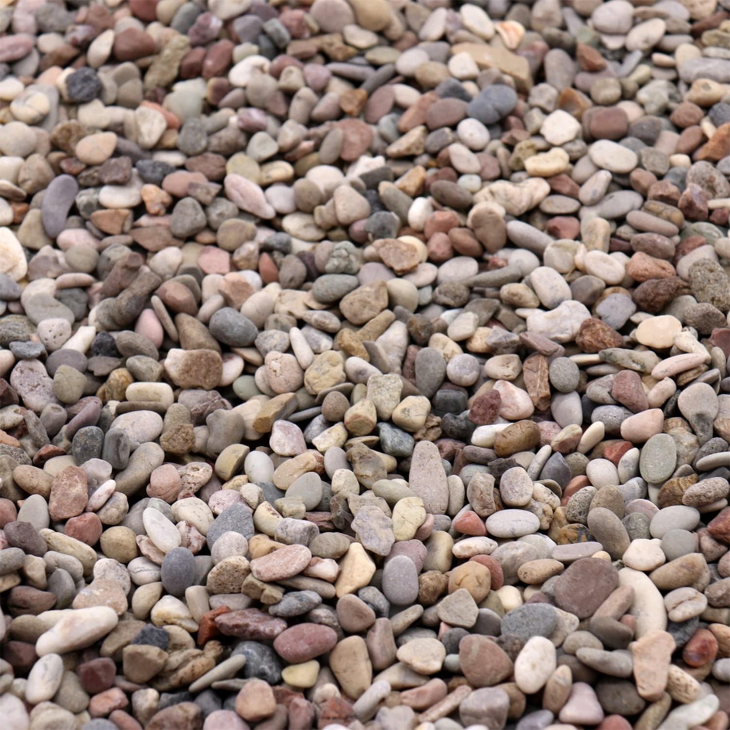 Rocks for Plants. Mixed Black/Earth Tones Color Pebbles. 1/5 Inch – 10 lbs for Garden, Crafting, Succulents, pots, Plants (Mini (0.2 Inch), Mixed Color - Black, 10)