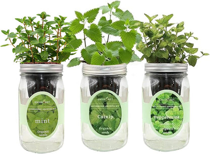 Hydroponic Herb Growing Kit Set, Self-Watering Mason Jar Herb Garden Starter Kit Indoor, Grow Your Own Herbs from Seeds (Mint, Peppermint & Catnip)