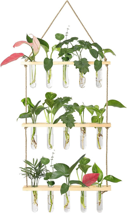 XXXFLOWER Wall Hanging Propagation Station with Wooden Stand 5 Glass Test Tubes 3 Tiered Planters Wall Terrarium for Home Office Plant Hanger Flower Vases Wall Decor Hydroponic Cuttings