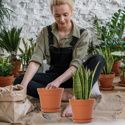 WOUSIWER 16 Pack 6 inch Plastic Planters, Plastic Indoor Planter Flower Pots, Heavy Duty and Stylish 6 Inch Plant Pots for Indoor Plants with Drainage Holes and Tray for Plants, Flowers, Terracotta