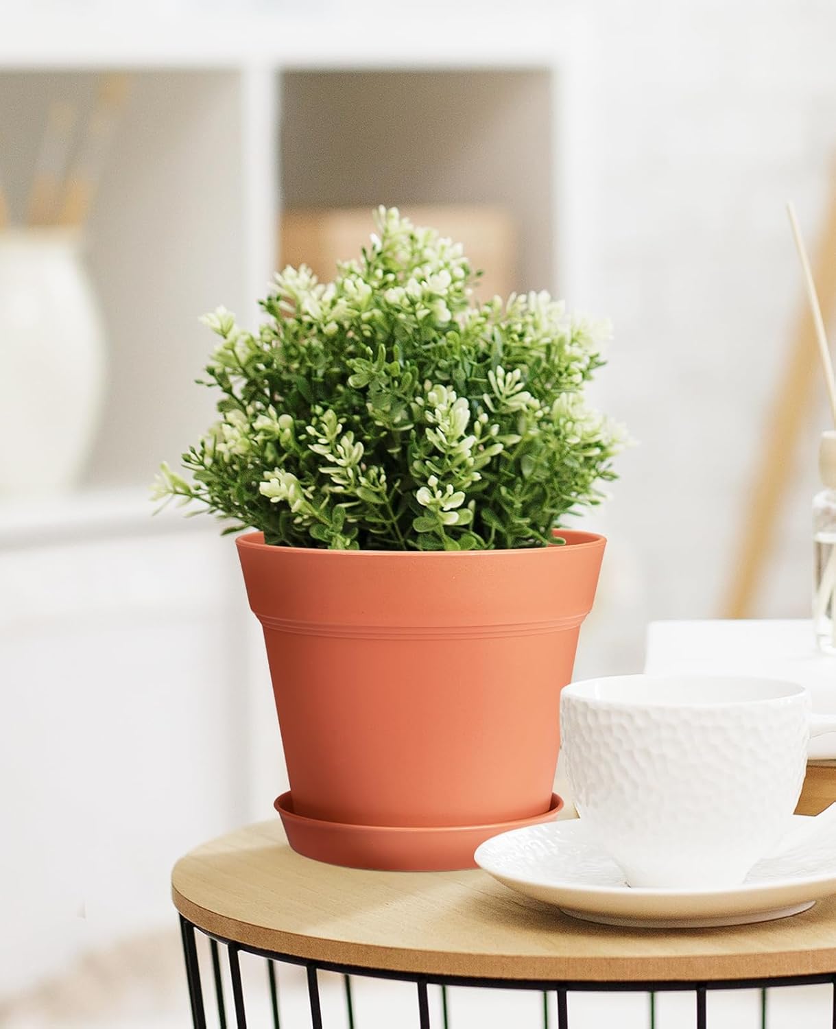 homenote Pots for Plants, 15 Pack 6 Inch Plastic Planters with Multiple Drainage Holes and Tray - Plant Pots for All Home Garden Flowers Succulents (Terra Cotta)