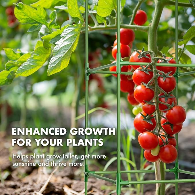 MAGGIFT Tomato Cage - 4 Pack 68 Inch Tomatoes Plant Stakes Support Cages Trellis Extra Tall for Garden & Pots