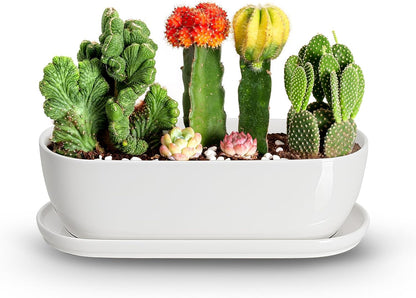 E-liu Oval Ceramic Planter Pot with Drainage Hole Saucers 14 Inch Succulents Planter Home Decor for Indoor Outdoor Plants Herb Cactus with 3 Mesh Pads, Plants Not Included