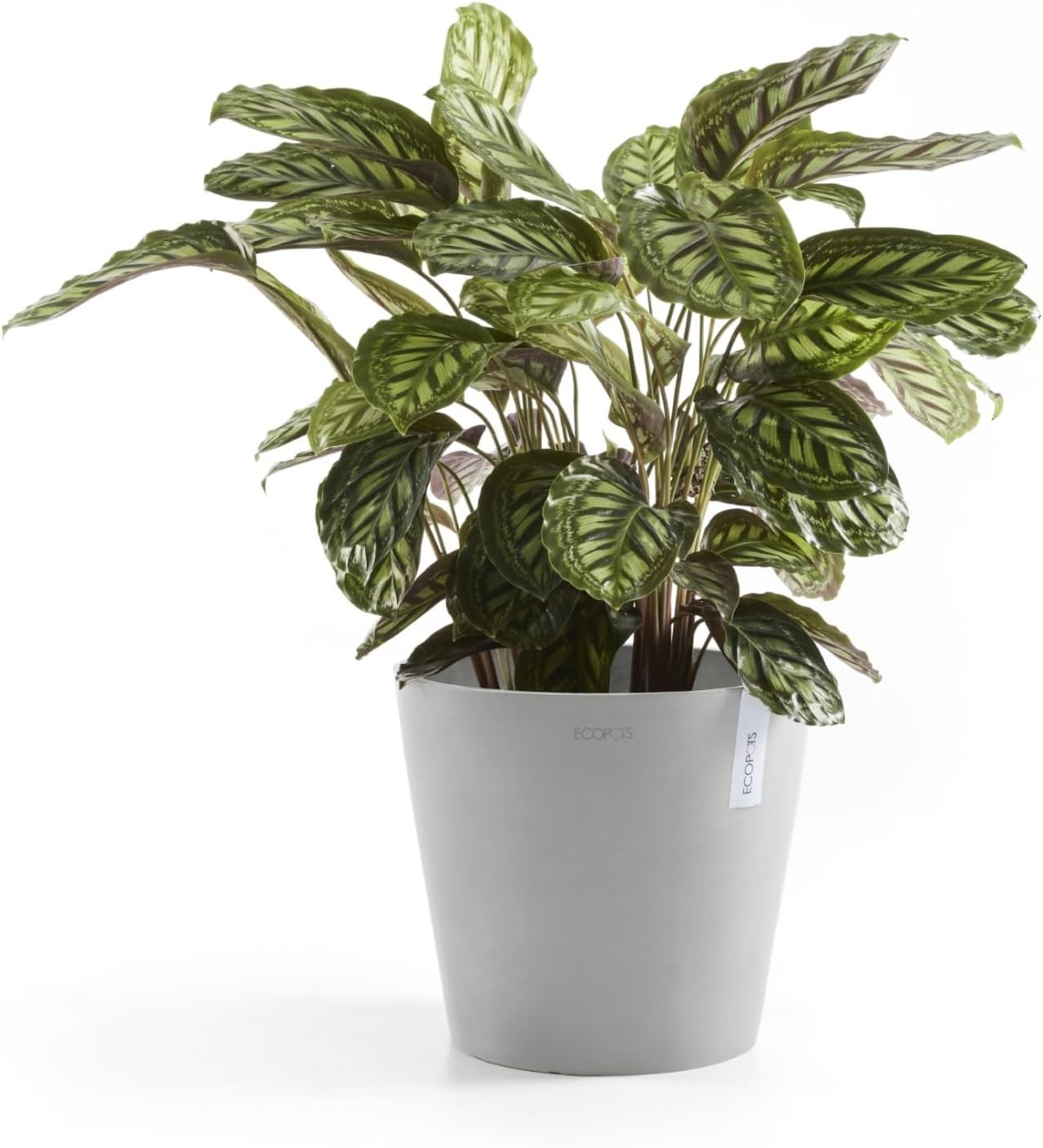 Ecopots Amsterdam Durable Modern Round Indoor/Outdoor Recycled-Based Composite Flower Pot Planter, White Grey, 10"