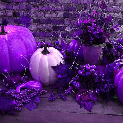 2 Pack Solar Powered Fairy String Lights Outdoor Waterproof 8 Modes Twinkle Christmas Decorations Lights, Each 33ft-100LED, 40ft-120LED, 66ft-200LED, 80ft-240LED, (Purple, 66)