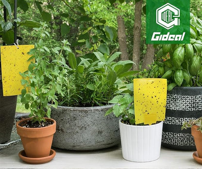 Gideal 30-Pack Dual-Sided Yellow Sticky Traps for Indoor Outdoor Flying Plant Insect Fungus Gnats, Whiteflies, Aphids, Leafminers,Thrips (6x8 Inches, Included 30pcs Twist Ties)