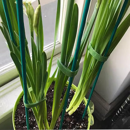 GXXMEI 100PCS 18" Plant Sticks Support with 100PCS Green Garden Ties, Green Bamboo Sticks, Garden Wood Plant Stakes, Floral/Orchid/Tomato Wooden Stakes Plant Support Stakes Wooden