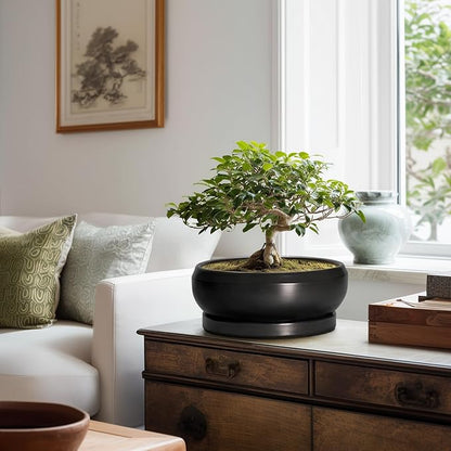 Bonsai Pots 10 Inch - Ceramic Succulent Planters Indoor Outdoor, Bonsai Pots with Drainage Hole and Tray, Modern Shallow Planter, Round Bowl Planter, Garden Decor, Garden Gift, Black