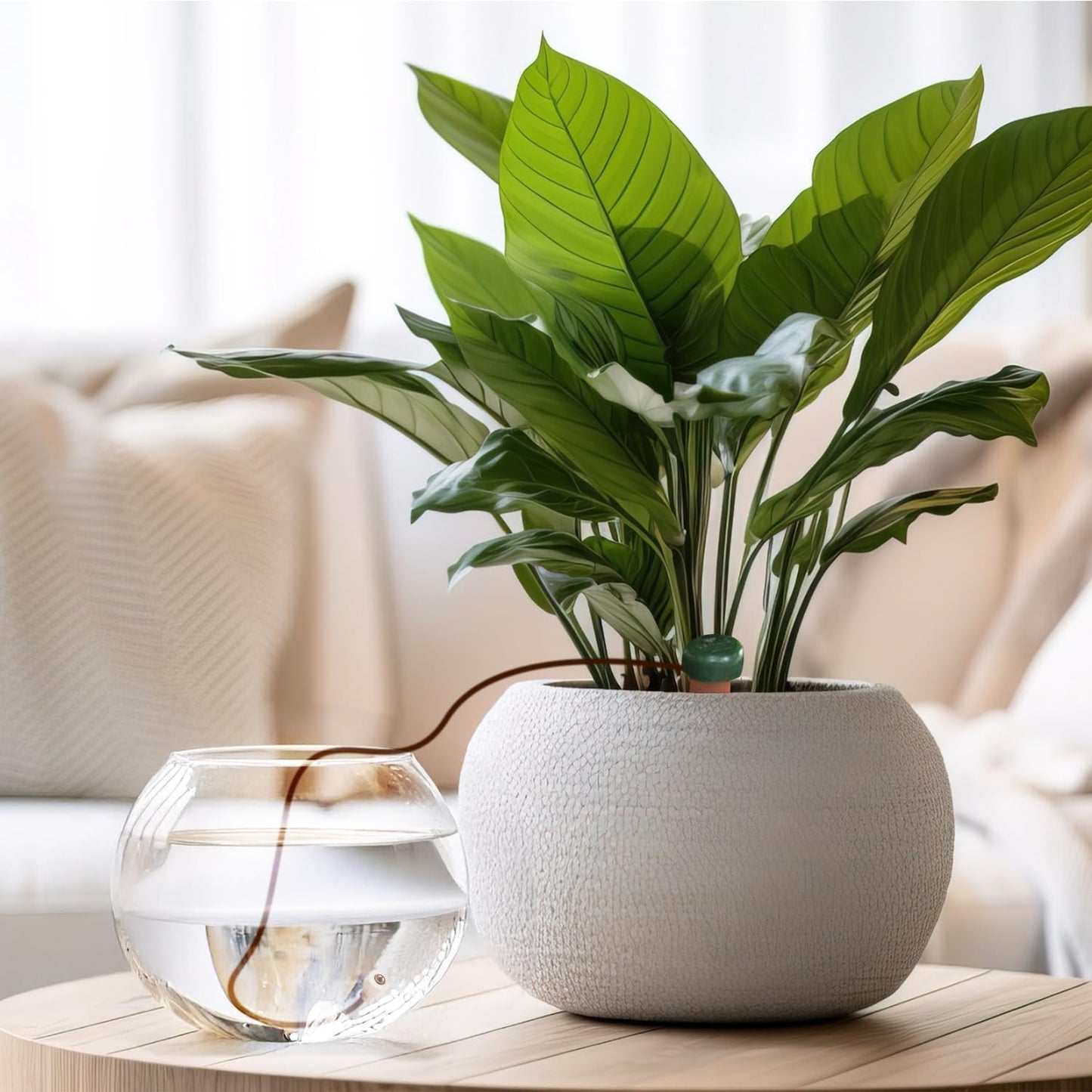 Blumat Classic Plant Watering Stakes (3 Pack) (with Adapter)