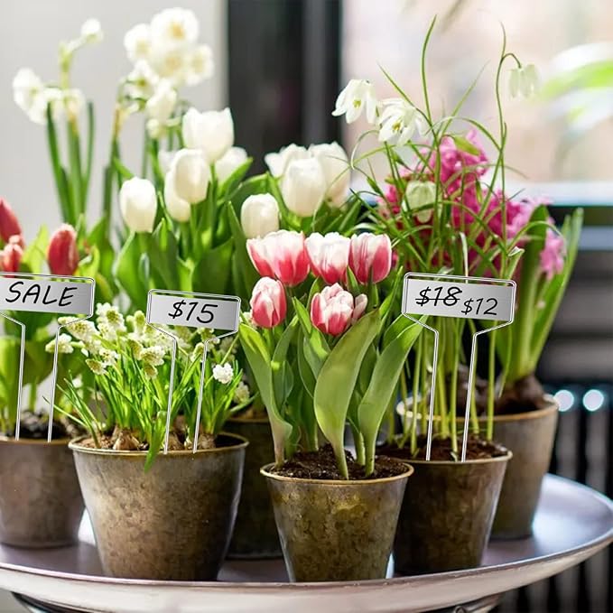30pcs Plant Labels Plant Markers for Outdoor Plants 6inch Plant Labels for Seedlings Outdoor Garden Waterproof Plant Tags and Labels for Flower Vegetable Herbs Greenhouse (6 in, Silver)