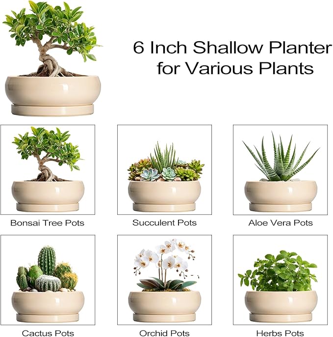 Small Bonsai Pots - 6 Inch Ceramic Succulent Planters for Indoor Plant Outdoor, Shallow Planter with Drainage Hole and Saucer, Round Succulent Pots, Kitchen Decor, Gifts for Women Men, Beige