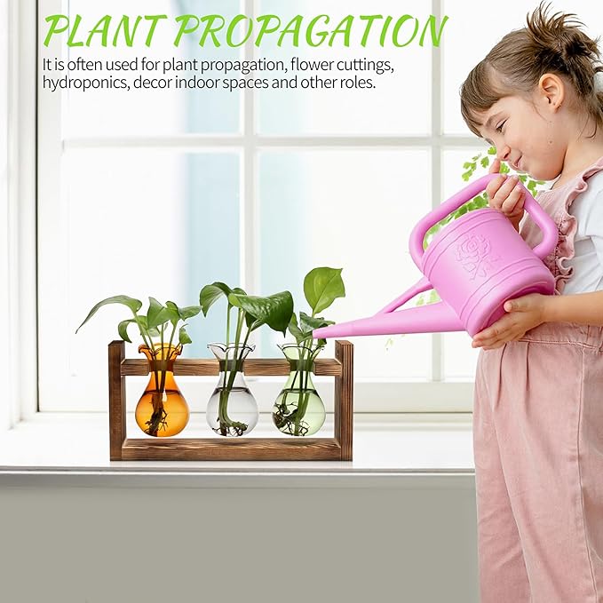 Plant Propagation Station Plant Terrarium Unique Birthday Gifts for Women Home Office Decor Planter with Wooden Stand - 3 Bulb Glass Vase