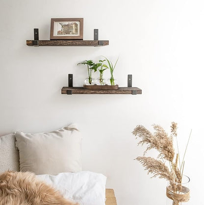 Mkono Desktop Plant Propagation Station Glass Planter Terrarium with Wooden Tray Bulb Flower Vase Perfect for Propagating Hydroponic Plants Home Office Decor Plant Lover Gift Idea