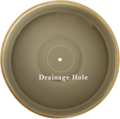 ARTKETTY Succulent Pots - 11 Inch Large Plant Pots Ceramic Bonsai Pots with Drainage Stand, Shallow Succulent Planters for Indoor Plants Decorative Flower Cactus Planter Bowl