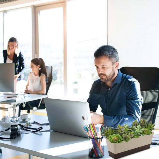 Lainrrew 3 Pack Window Box Planters, 12 Inches Rectangular Planter Plastic Flower Box Plant Pots Plant Containers with Tray for Balcony, Windowsill, Garden, Home Office Outdoor Decoration (Coffee)