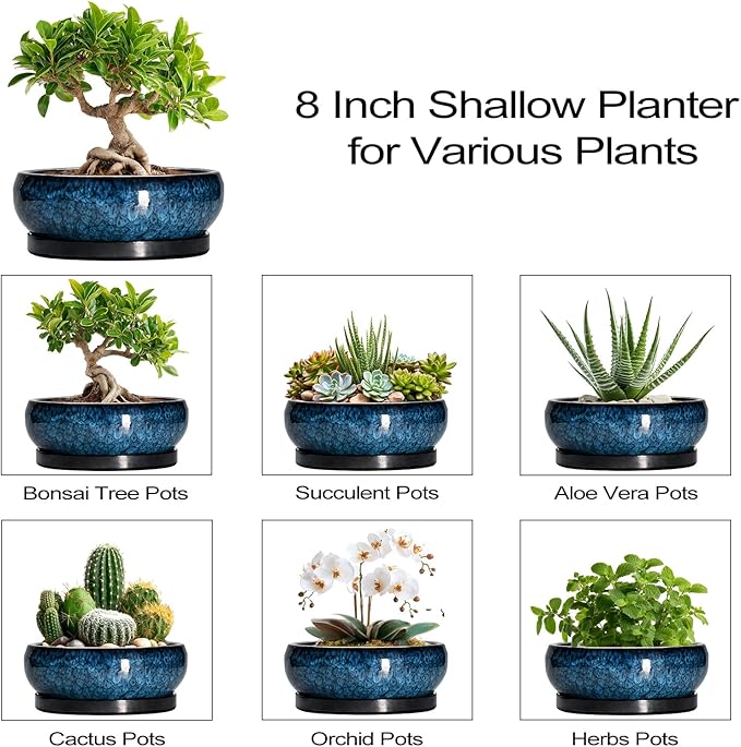 Bonsai Pots 8 Inch - Ceramic Succulent Planter for Indoor Outdoor, Round Bonsai Planter with Drainage Hole and Saucer, Shallow Ceramic Planters Bowl, Patio Decor, Housewarming Gift, Blue