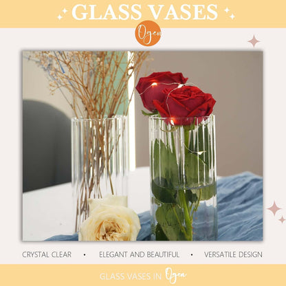 12pcs Glass Vase Cylinder Vases for Centerpieces Small Flower Glass Vases Bud Vases Home Decor Centerpiece Table Flower Vase Decorations for Office Beautification＆Holiday 6 Inch Tall