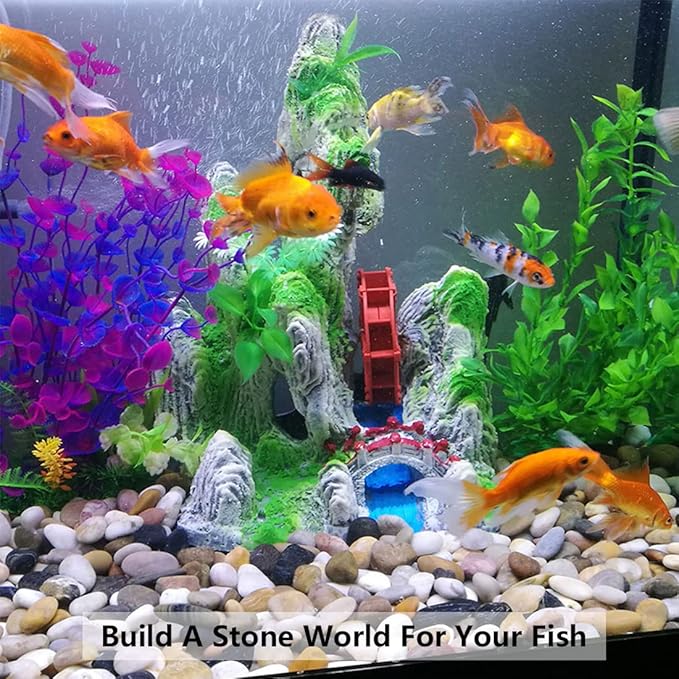 10lbs Pebbles for Indoor Plants, 1-2 Inch Mixed Color High Polished River Rocks Outdoor Decorative Stones Vase Filler Fish Tank Aquariums Landscaping Garden Outdoor and Indoor DIY