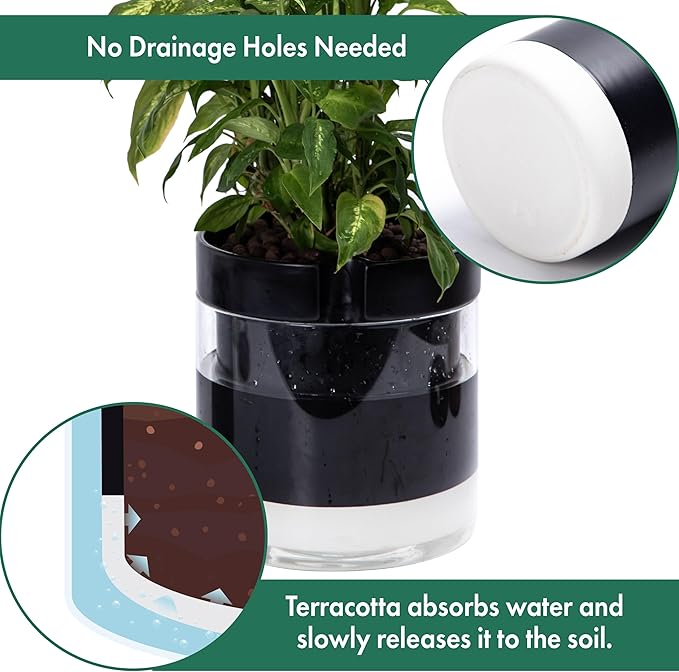 Phoenix Vine 10 Inch Self Watering Terracotta Planter, Black Terracotta Clay Pot with Glass Reservoir for Indoor Plants, Herbs, Flowers, Set of 1, 52-C-I-1
