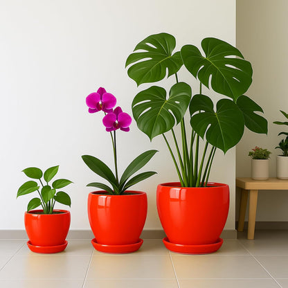 Deep Dream 10 Inch Plant Pot- Ceramic Planter Pot Round Plant Pots for Indoor Plants Outdoor Large Flower Pot with Drainage Holes & Trays, Red